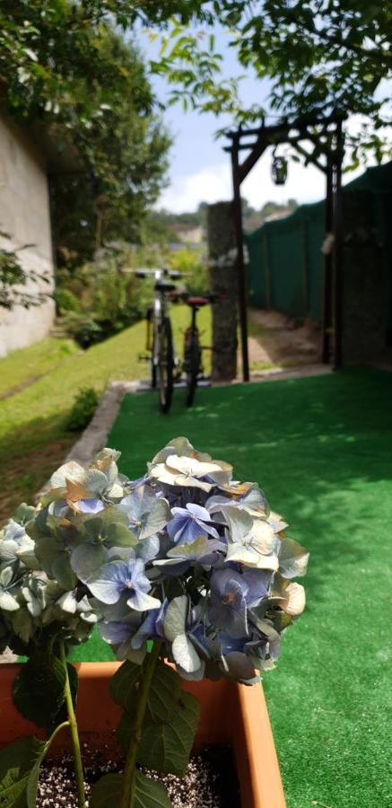 Quinta De Carvalhal - Casa De Campo Guimaraes Bagian luar foto